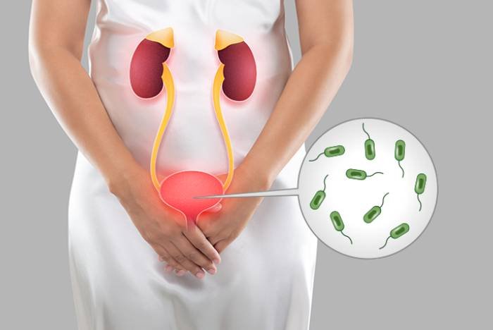 Endocrinologist in Bhopal